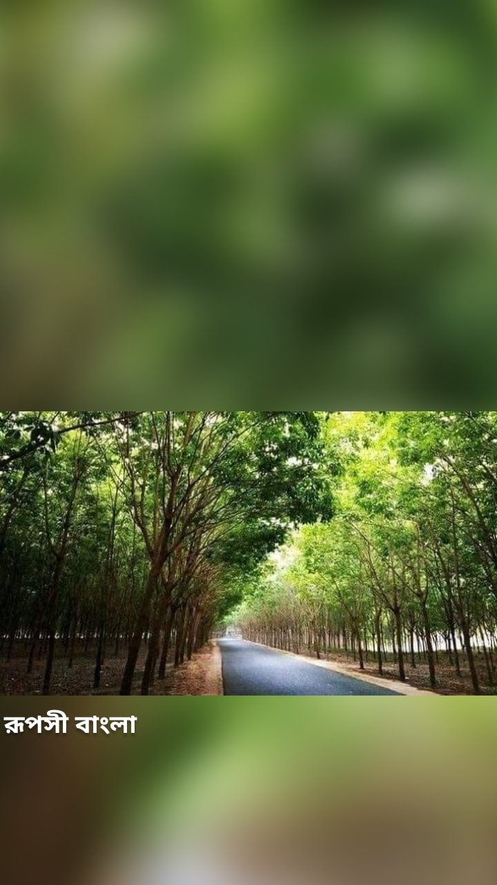 রূপসী বাংলা